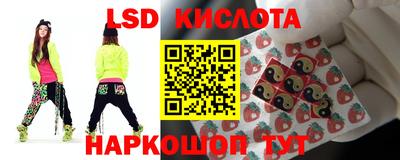 стафф Тара