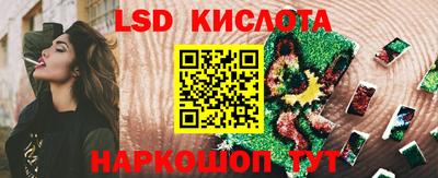 стафф Тара